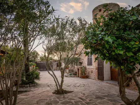 Villa Moli de Ca n'Orell, Maison 5 personnes à Santanyí - Photo 8