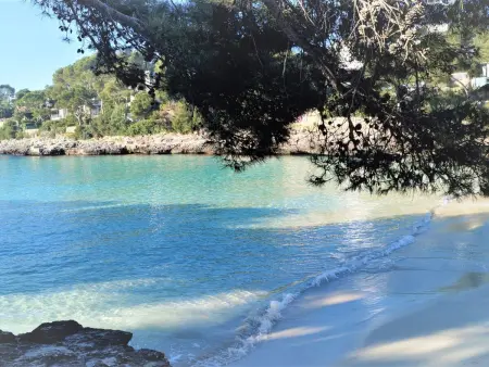 Bungalow con piscina, Appartement 4 personnes à Cala d'Or - Photo 34