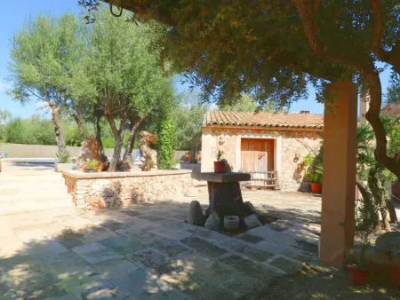 Finca Alfabia Campos, Maison 3 personnes à Campos - Photo 3