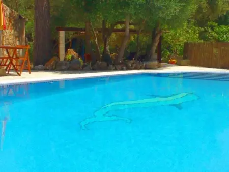 Finca Alfabia Campos, Maison 3 personnes à Campos - Photo 5