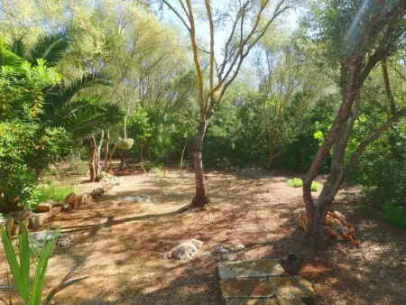 Finca Alfabia Campos, Maison 3 personnes à Campos - Photo 30