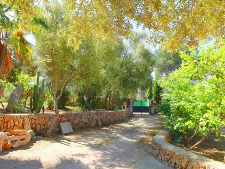 Finca Alfabia Campos, Maison 3 personnes à Campos - Photo 35