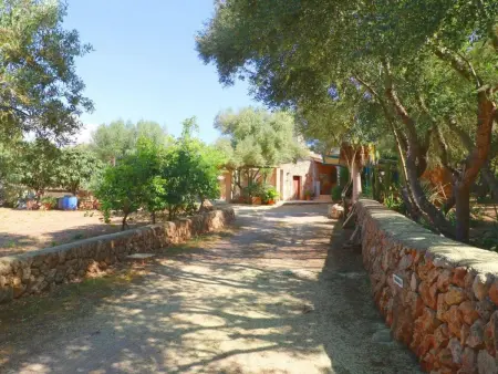 Finca Alfabia Campos, Maison 3 personnes à Campos - Photo 36