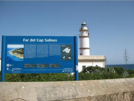 Casa Concha, Salines, Maison 4 personnes à Ses Salines - Photo 36