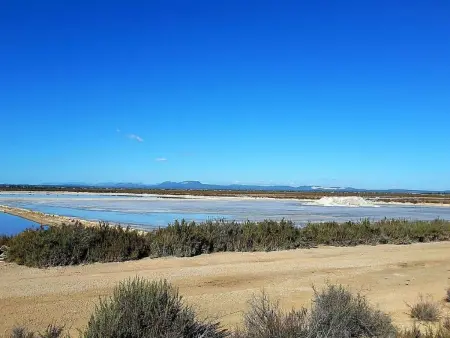 Casa Encantadora, Maison 4 personnes à Ses Salines - Photo 11