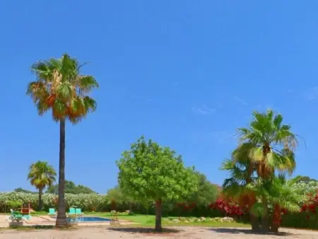 Poolfinca Can Acebal, Maison 8 personnes à Ses Salines - Photo 34