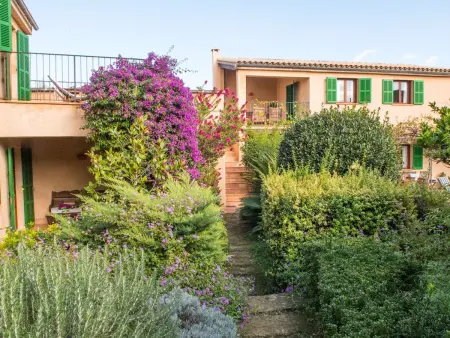 Stadthaus für 12, mit Schwimmbad auf Mallorca, Maison 12 personnes à Petra - Photo 13