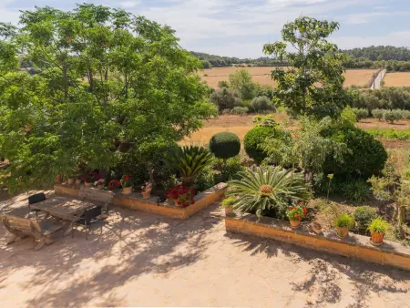 Murtera, Maison 9 personnes à Manacor - Photo 65