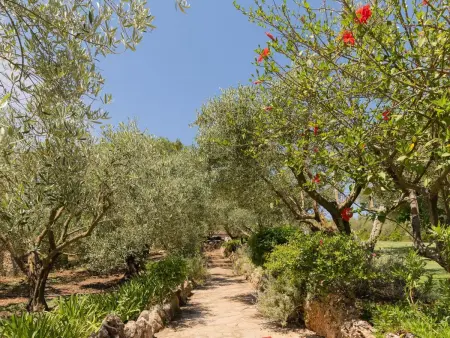 Murtera, Maison 9 personnes à Manacor - Photo 66
