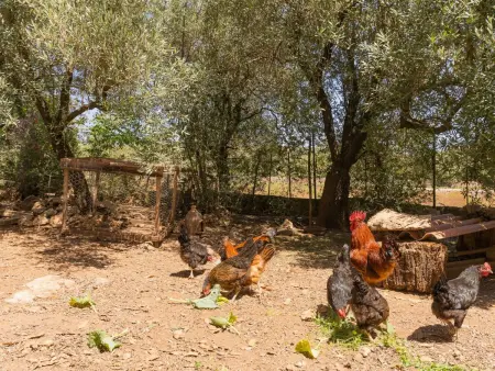 Murtera, Maison 9 personnes à Manacor - Photo 76