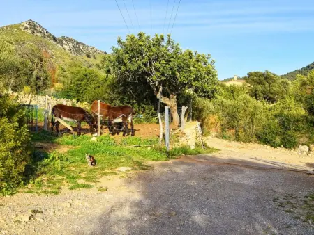 Beeindruckende Finca mit Pool und Klimatisierung - Photo 32
