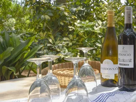 Finca mit Ruhe und Infinity-Pool, Maison 6 personnes à Sant Llorenç des Cardassar - Photo 10