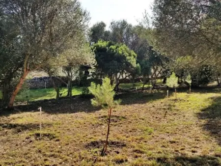 Finca  Mallorca Muro  mit Garten und Grill, Maison 8 personnes à Muro - Photo 27