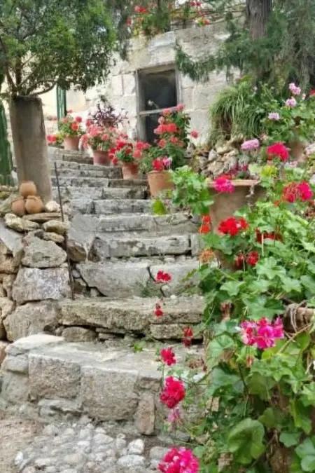 Finca  Mallorca Muro  mit Garten und Grill, Maison 8 personnes à Muro - Photo 30