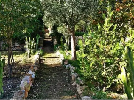 Finca  Mallorca Muro  mit Garten und Grill, Maison 8 personnes à Muro - Photo 33