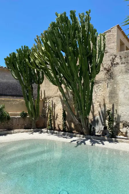 Villa El León de Sineu, Maison 21 personnes à Sineu - Photo 3
