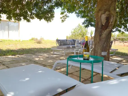 Schönes modernes Ferienhaus C84MLL, Maison 10 personnes à Binissalem - Photo 10