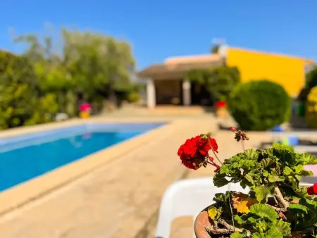 Sa Sini  mit Terrasse, Maison 6 personnes à Búger - Photo 36