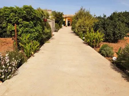 Son Serra, Maison 4 personnes à Búger - Photo 36