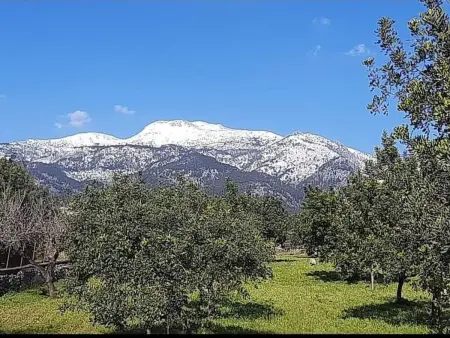 Casa Bella Mirada, Maison 6 personnes à Caimari - Photo 38