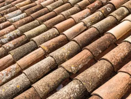 Das Haus von Macarena, Maison 3 personnes à Valldemossa - Photo 25