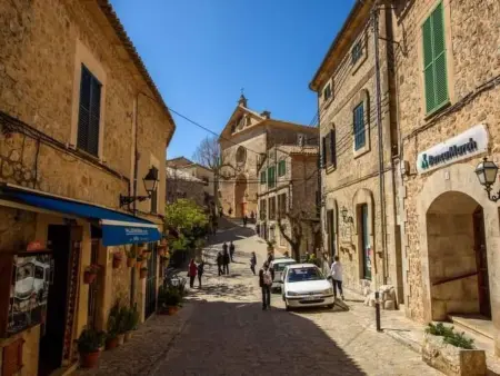 Das Haus von Macarena, Maison 3 personnes à Valldemossa - Photo 29