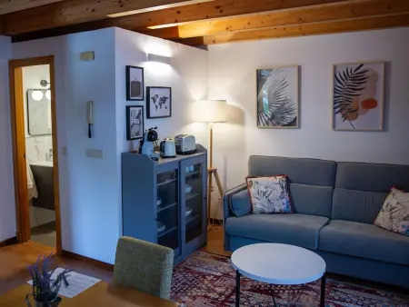 Touristenwohnung Coqueto Loft 101, Appartement 2 personnes à Santiago de Compostela - Photo 12