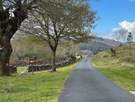 Galicia Retreat, Maison 5 personnes à Cerdedo - Photo 25