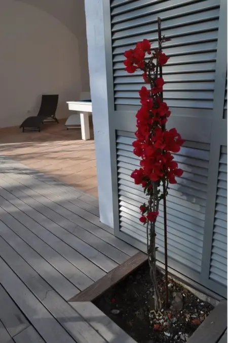 Villa mit Charme - Privatpool für Familien, Maison 12 personnes à Sa Riera - Photo 38