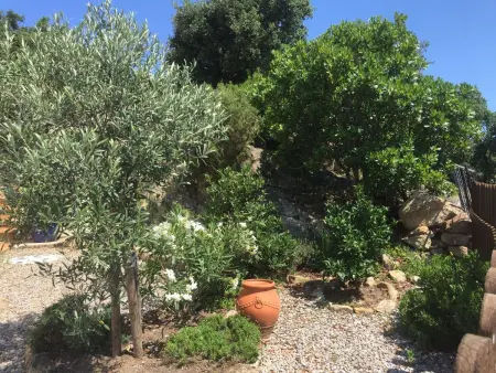Gemütliches Ferienhaus mit Pool und Meerblick, Maison 5 personnes à Sta Cristina d'Aro - Photo 25