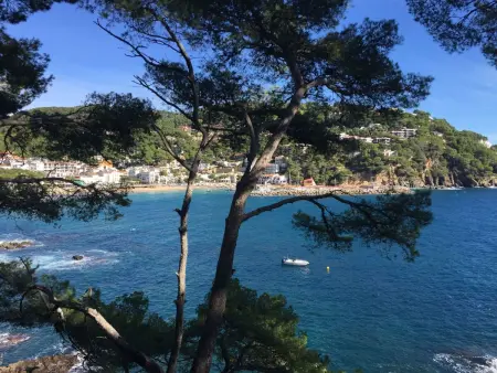 Gemütliches Ferienhaus mit Pool und Meerblick, Maison 5 personnes à Sta Cristina d'Aro - Photo 31
