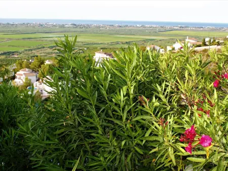Villa de la Luz, Maison 6 personnes à Pego - Photo 22