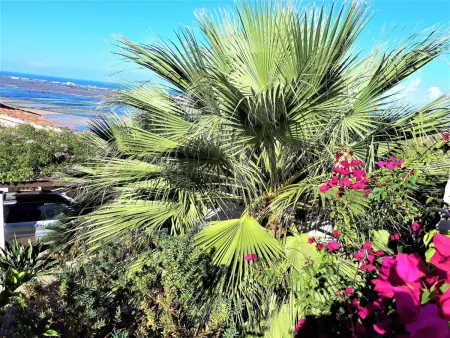 Villa del Mar, Maison 6 personnes à Pego - Photo 27