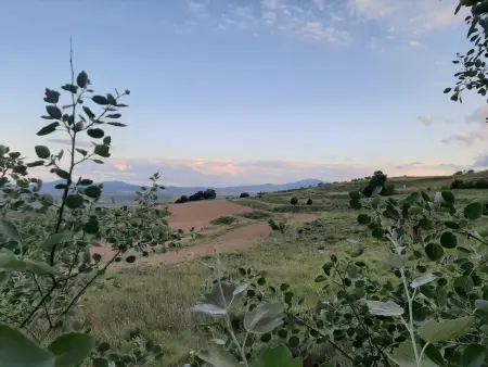 Weingut  Garnacha de Borja ., Maison 11 personnes à Borja - Photo 31