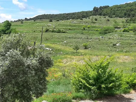 Weingut  Garnacha de Borja ., Maison 11 personnes à Borja - Photo 34