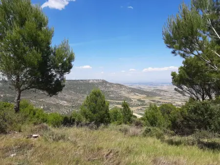 Landwohnung mit Bergblick, Maison 3 personnes à Borja - Photo 40