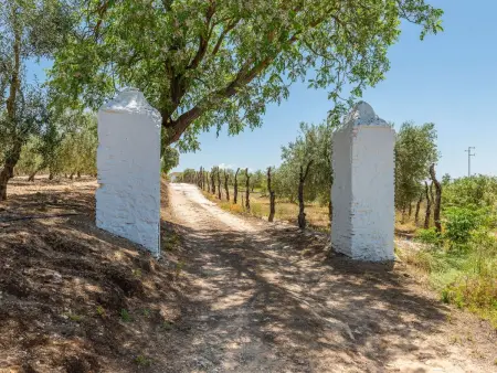 Hacienda San Antonio, Maison 8 personnes à Marchena - Photo 82