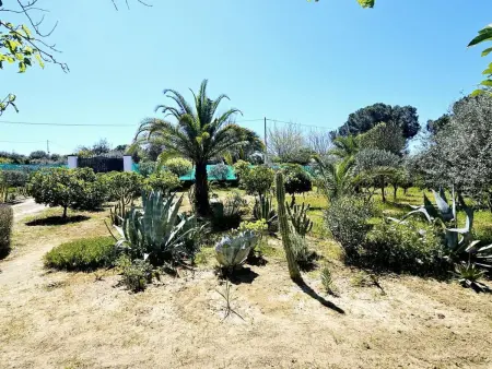 Landhaus Villa Moral, Maison 6 personnes à Arahal - Photo 41