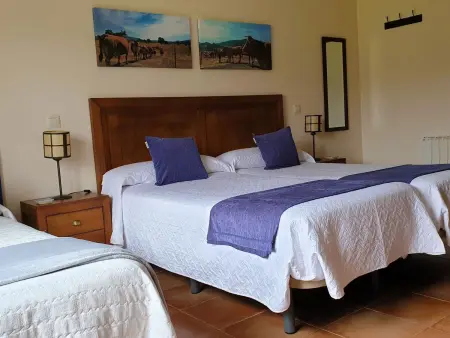 mit privatem Pool, Maison 6 personnes à Navas de Estena - Photo 16