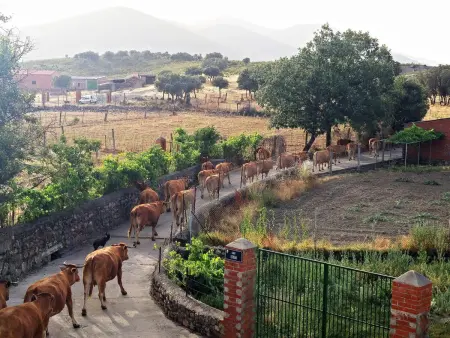 mit privatem Pool, Maison 6 personnes à Navas de Estena - Photo 40
