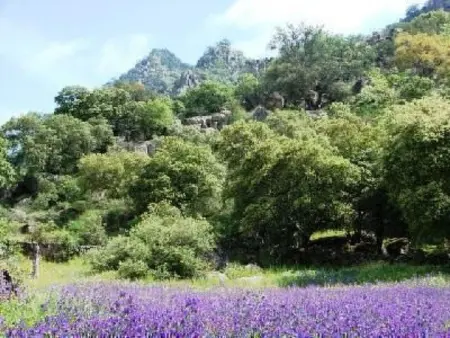 Das Cortijo auf der Finca al-manzil, Maison 6 personnes à Montanchez - Photo 15