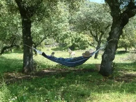 Das Cortijo auf der Finca al-manzil, Maison 6 personnes à Montanchez - Photo 16