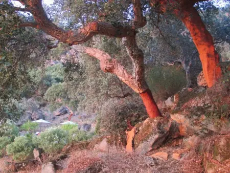 Das Cortijo auf der Finca al-manzil, Maison 6 personnes à Montanchez - Photo 20