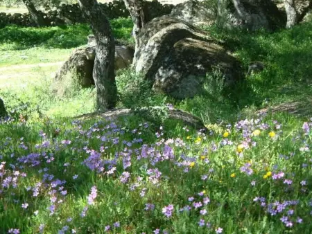 Das Cortijo auf der Finca al-manzil, Maison 6 personnes à Montanchez - Photo 23