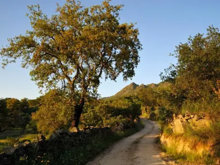 Das Cortijo auf der Finca al-manzil, Maison 6 personnes à Montanchez - Photo 25