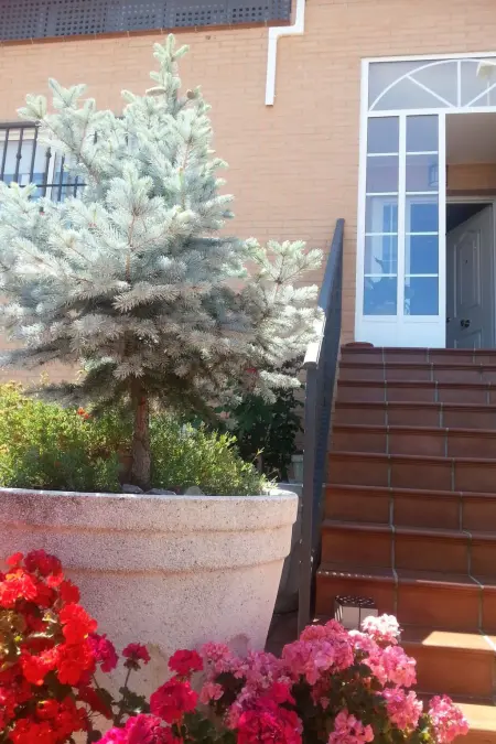 Montesol-Ferienwohnung, Appartement 8 personnes à Cáceres - Photo 4