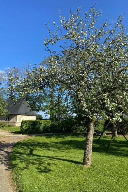 Neues normannisches Ferienhaus mit Charme die Kastanienbäume - Photo 31