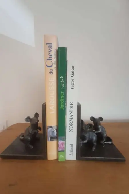 LE PRESSOIR DE MON PERE, Maison 6 personnes à Foulbec - Photo 16