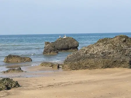 Joli studio pour 2 personnes, Appartement 2 personnes à Villers sur mer - Photo 17