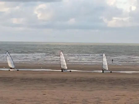 Wohnung les Althéas in Villers-sur-Mer, Appartement 2 personnes à Villers sur mer - Photo 15